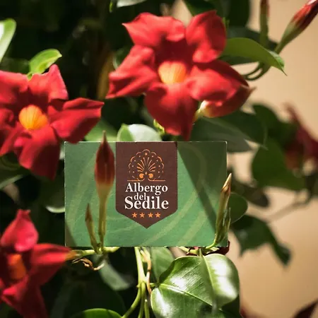 Del Sedile Hotel 4*